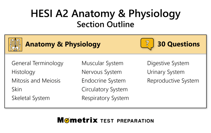 Hesi mobility exam practice questions