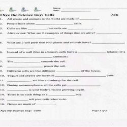 Bill nye energy worksheet with answers