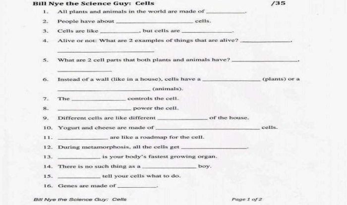 Bill nye energy worksheet with answers