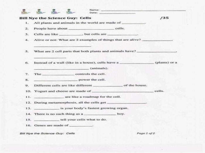 Bill nye energy worksheet with answers