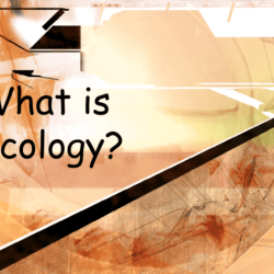 Ecological systems and interdependence answer key