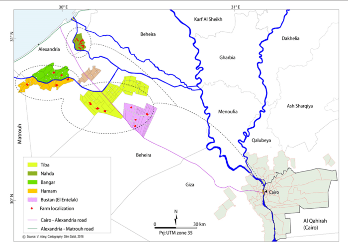 Organized systems of agriculture the maintenance of herds