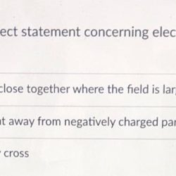 Choose the correct statement concerning electric field lines