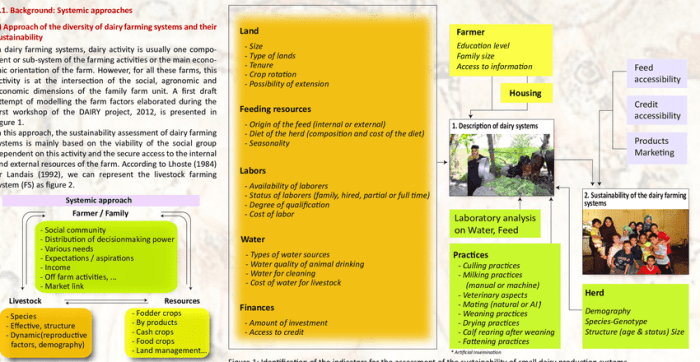 Farm team schematic domains contributing farming major overview figure