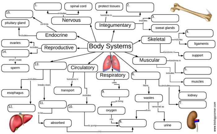 Ecological systems and interdependence answer key