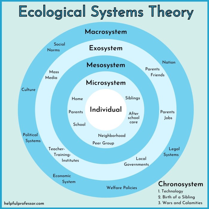 Ecological systems and interdependence answer key